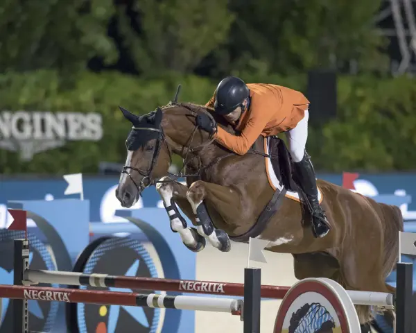 Un cavalier en orange et un cheval brun sautent un obstacle. Le cheval, d'une robe rappelant l'émeraude, semble voler.