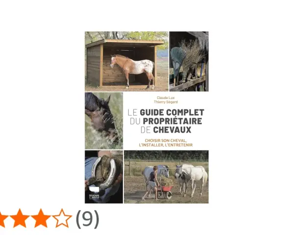 Guide complet pour savoir comment avoir un cheval chez soi : choix, installation et entretien.