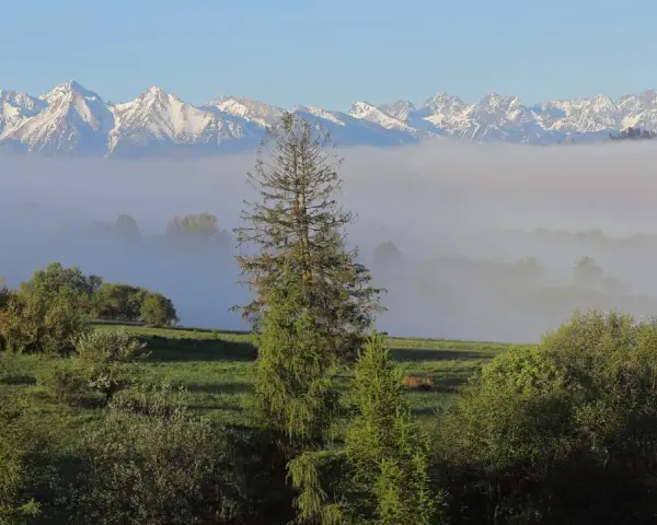Karpaty jakie to góry - poznaj ich niezwykłe piękno i tajemnice