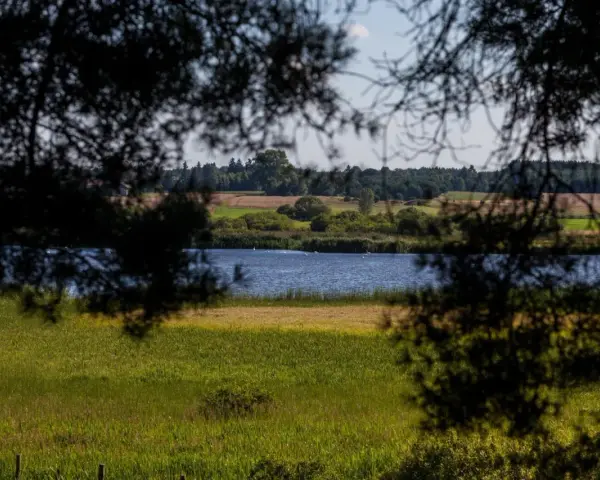 Spokojne jezioro krąg otoczone zielenią, z ptakami pływającymi na wodzie, widziane przez gałęzie drzew.