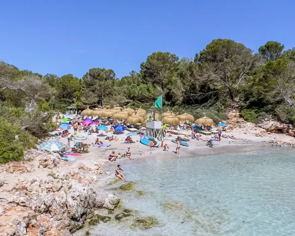 Słoneczna plaża z turkusową wodą, parasolami i ludźmi wypoczywającymi na piasku. To jedno z najpiękniejszych miejsc na Majorce.
