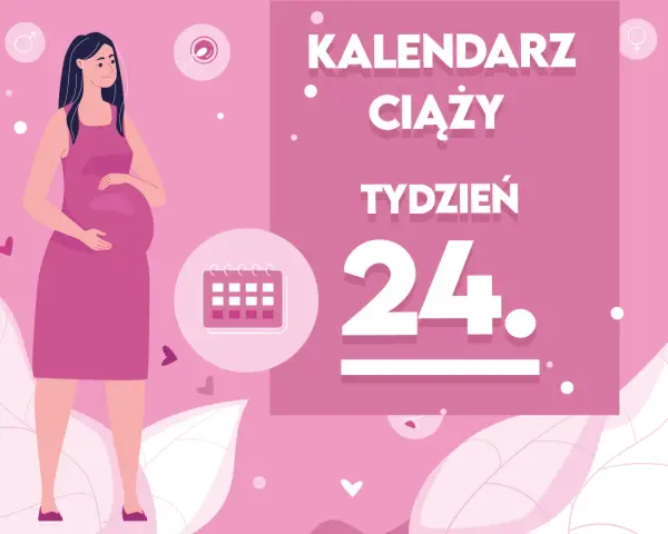 Kobieta w 24 tygodniu ciąży, z brzuszkiem. Obok kalendarz i napis "Kobieta w 24 tygodniu ciąży".