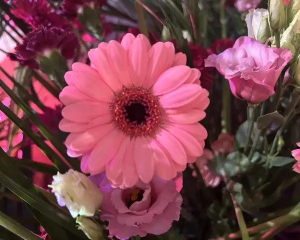 Różowa gerbera doniczkowa w bukiecie z innymi kwiatami.