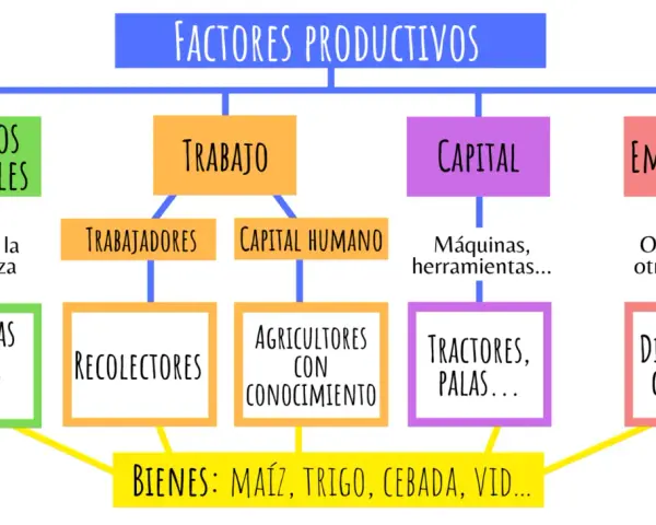 Diagrama de los factores productivos de una empresa: recursos naturales, trabajo, capital y empresario, que generan bienes como maíz y trigo.