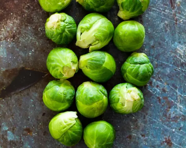Frischer Rosenkohl liegt auf dunklem Untergrund. So lagern Sie Rosenkohl richtig für maximale Frische.