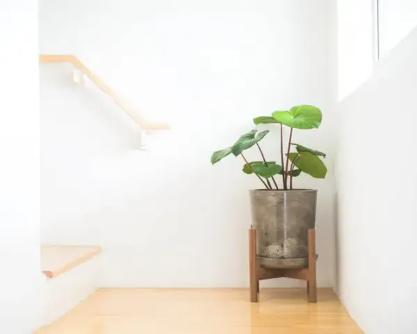 Jak zbudować drewniany kwietnik? Poradnik DIY krok po kroku