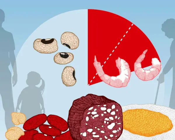 Olika livsmedel som bönor, räkor, kött och ägg illustrerar det rekommenderade proteinintaget för olika åldrar, från barn till äldre.