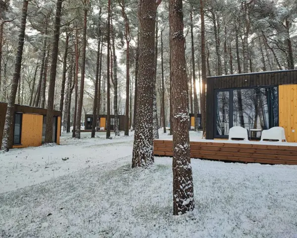 Nowoczesne domki nad morzem całoroczne w zimowej scenerii. Śnieg pokrywa trawę i drzewa, tworząc bajkowy krajobraz.