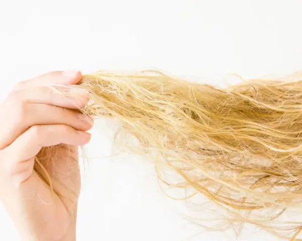 Hand hält eine Strähne blonden, trockenen Haares vor weißem Hintergrund.