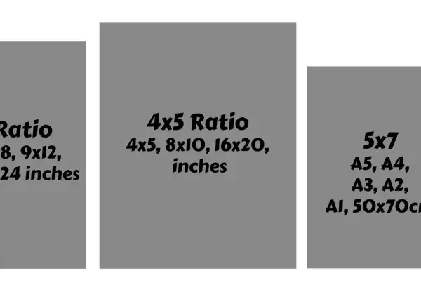 Guía de medidas de lienzos: 2x3, 3x4, 4x5, 5x7 y 11x14 pulgadas, además de tamaños A y cm.