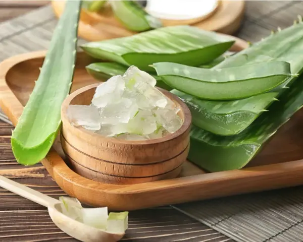 Aloe vera fresco en trozos, ideal para aliviar el picor en el cuero cabelludo. Remedios caseros naturales.