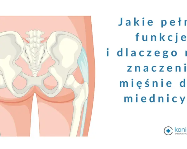 Anatomia miednicy z zaznaczonymi mięśniami dna miednicy. Pytanie: Jakie pełnią funkcje i dlaczego mają znaczenie mięśnie dna miednicy?
