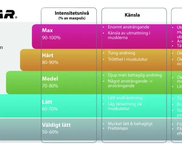 Polar-diagram som visar intensitetsnivåer, känsla och träningseffekt. Pulsson 3 (medel, 70-80%) ökar kondition och muskulär uthållighet.