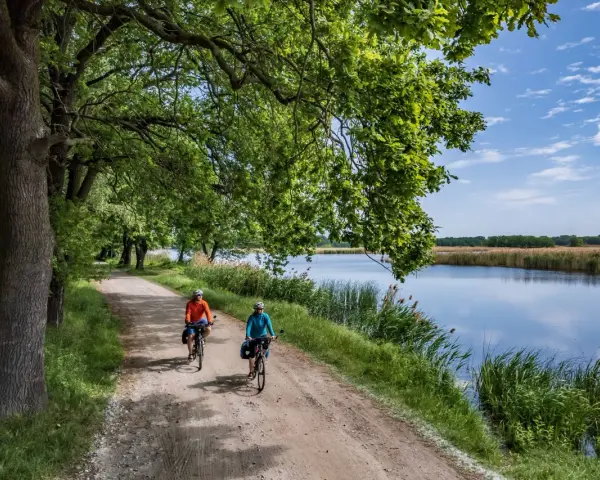 Dolina Baryczy: Trasy rowerowe dlaczego to rowerowy raj?