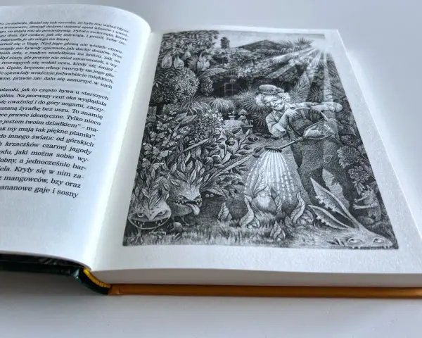 Ilustracja z książki: dziwny ogród z potworami i staruszką podlewającą rośliny. Może to serce żyrafy?