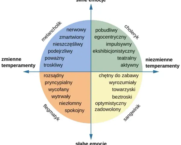 Osobowość: czy jest stała? Psychologia o jej zmienności i rozwoju