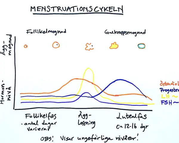 Diagram över menstruationscykeln som visar hur nivåerna av kvinnliga hormoner (östradiol, progesteron, LH, FSH) förändras under cykelns olika faser.