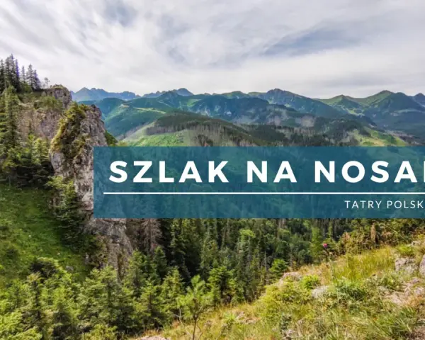 Malowniczy szlak na Nosal w Tatrach Polskich. Widok na góry i lasy.