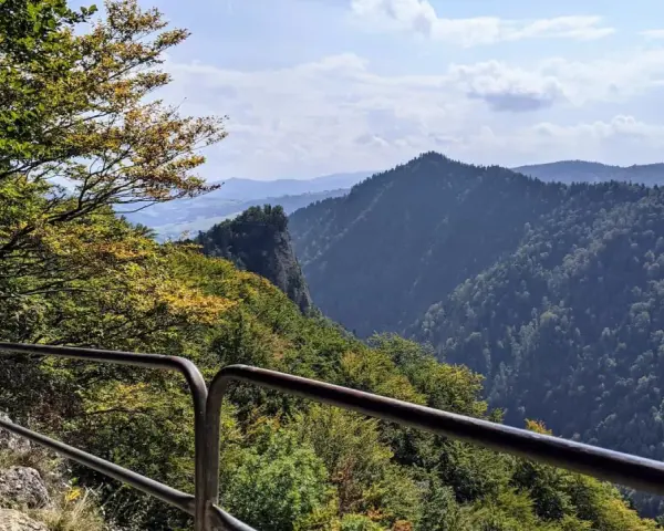 Widok na Pieniny, gdzie można zdobyć Trzy Korony i zobaczyć sokolicę w jeden dzień.