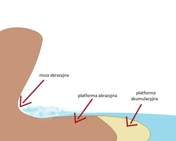 Schematyczny klif nad morzem z zaznaczoną niszą abrazji, platformą abrazji i platformą akumulacyjną.