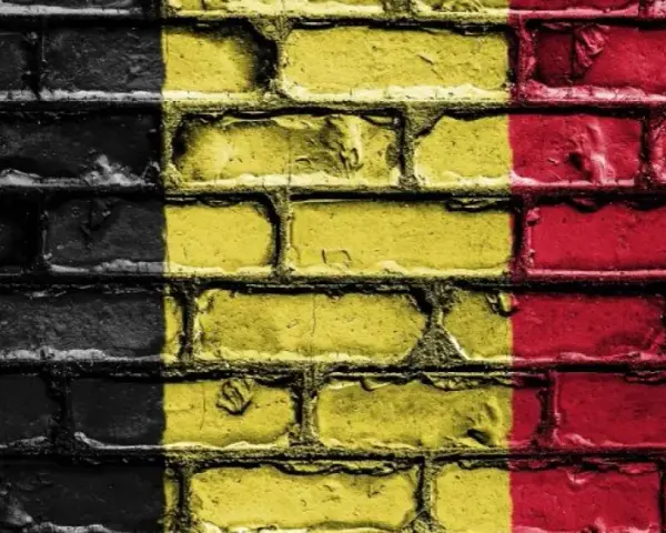 Jak wygląda flaga Belgii? Odkryj jej kolory i historię