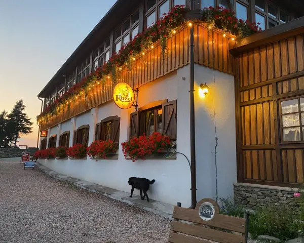 Urokliwe schronisko Orzeł z czerwonymi pelargoniami i girlandą światełek. Czarny piesek spaceruje przed budynkiem.