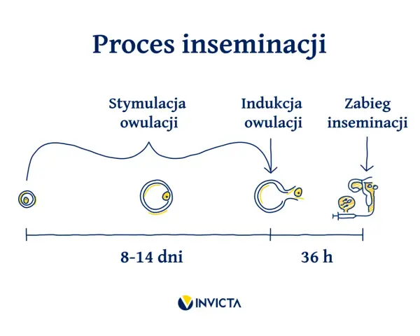 Schemat procesu inseminacji: od stymulacji owulacji (8-14 dni), przez indukcję owulacji, do zabiegu inseminacji (36 h).