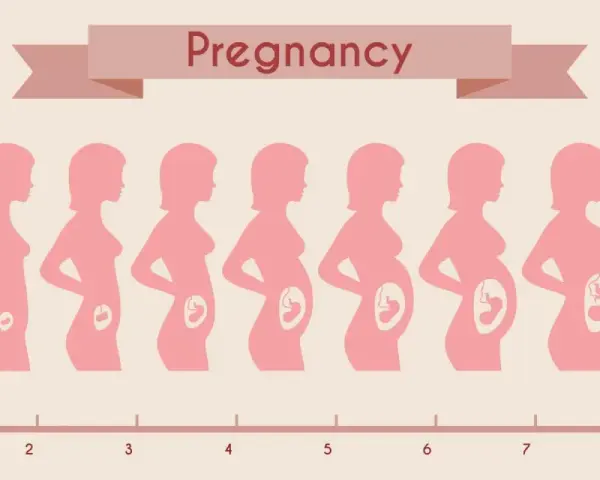 Sylwetki kobiet pokazują rozwój ciąży od 1. do 9. miesiąca. Pierwszy trymestr trwa do 3. miesiąca.