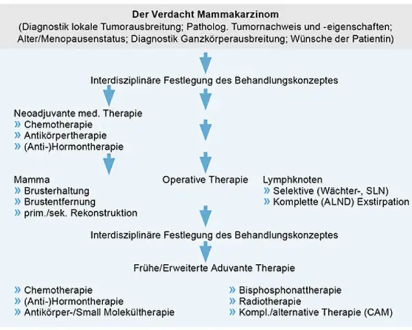 Mammakarzinom Diagnostik: Wichtige Verfahren und ihre Bedeutung für die Früherkennung