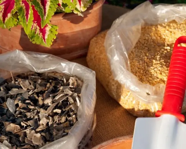 Due sacchi trasparenti contengono concime naturale per piante: uno con scaglie scure, l'altro con granuli gialli. Una paletta rossa e bianca è appoggiata su uno dei sacchi.