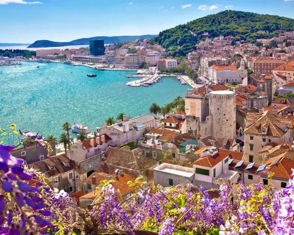Widok na Split z kwitnącym glicynią. Turkusowe morze, białe budynki i zielone wzgórze tworzą malowniczą panoramę. Chorwacja atrakcje w pełnej krasie.