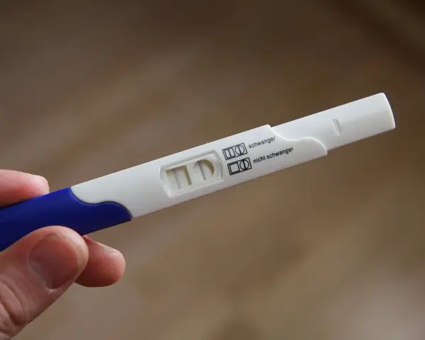 Test ciążowy wykrywający 3 dniową ciążę. Dwie kreski oznaczają pozytywny wynik.