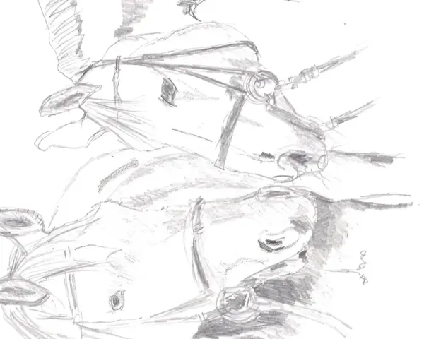 Boceto a lápiz de dos caballos con bridas, mostrando diversas técnicas de dibujo a lápiz para capturar sus formas y texturas.