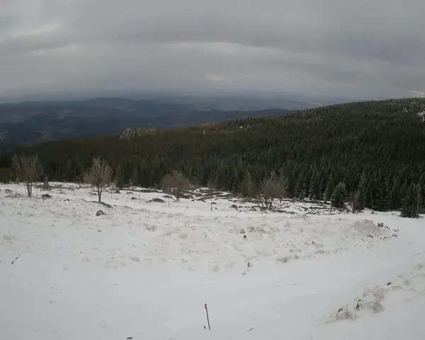 Zimowy krajobraz górski, pokryty śniegiem. W oddali las i mgliste wzgórza. Czy Śnieżka jest otwarta?