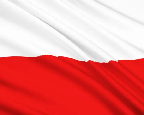 Flaga Polski z białym pasem na górze i czerwonym na dole, lekko pofalowana. Odwrócona flaga polski, symbol dumy narodowej.