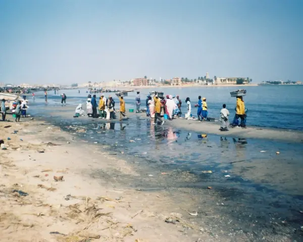 Ludzie na brzegu rzeki Senegal, niektórzy niosą towary na głowach. W tle widać zabudowania.