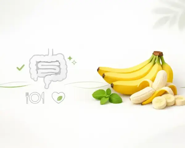Banan jest lekkostrawny, co potwierdza grafika jelit i symbol serca. Kilka bananów i listki mięty.