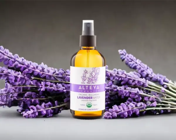 Butelka z organiczną wodą lawendową Alteya Organics otoczona bukietami fioletowej lawendy.