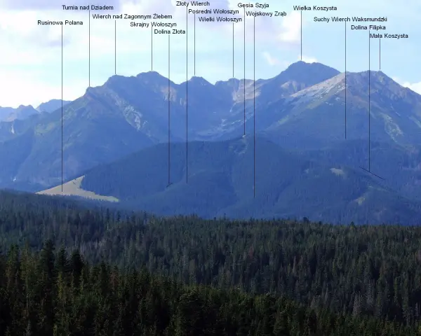 Widok na Tatry z zaznaczonymi szczytami, w tym Gęsia Szyja. W dole las, wyżej zbocza górskie.