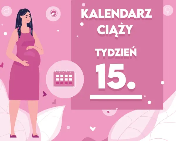 Kobieta w 15 tygodniu ciąży, z brzuszkiem. Obok kalendarz i napis "Kaledarz ciąży tydzień 15".