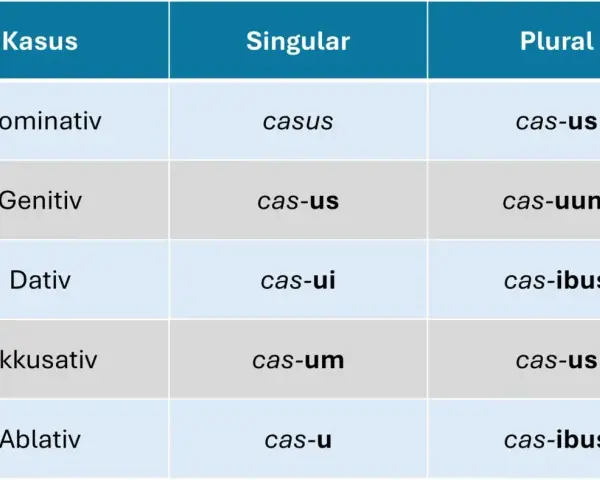 Tabelle zur lateinischen U-Deklination: Kasus, Singular und Pluralformen des Wortes "casus".