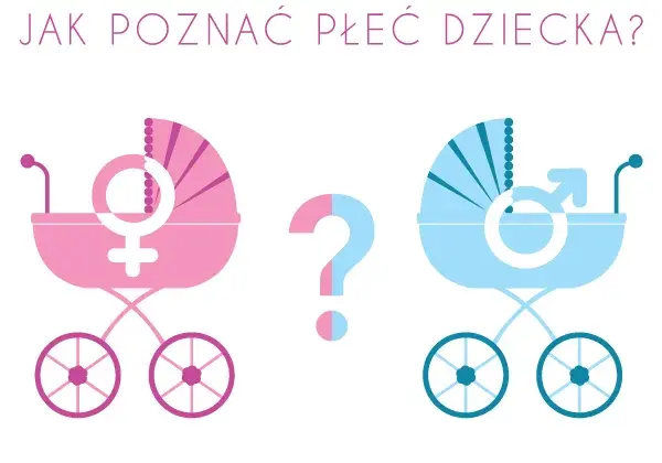 Jak rozpoznać płeć dziecka domowe sposoby - nie wierz w przesądy