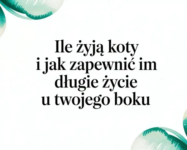 Ile żyją koty po sterylizacji i jak zapewnić im długie życie u Twojego boku. Delikatne, akwarelowe liście otaczają tekst.