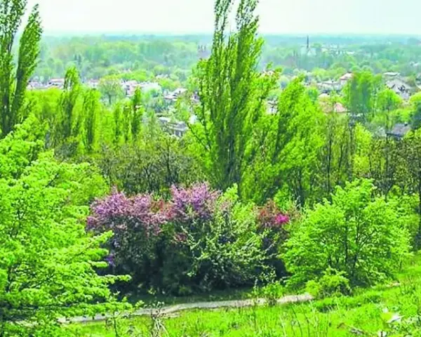 Bacówka Rudzka Góra – smaki tradycji w sercu Łodzi i aktywności na świeżym powietrzu