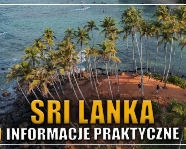 Palmy nad oceanem, widok na wybrzeże Sri Lanki. Informacje praktyczne dla podróżujących na lotnisko Sri Lanki.