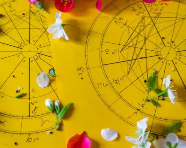 Dwa koła horoskopowe na żółtym tle, ozdobione płatkami kwiatów. 21 czerwiec znak zodiaku.