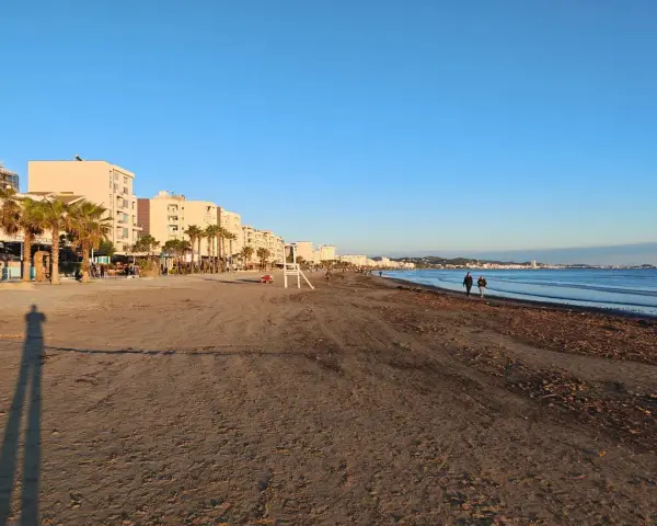 Plaża w Albanii, z palmami i budynkami w tle, idealna na spacer. Klimat sprzyja relaksowi nad morzem.