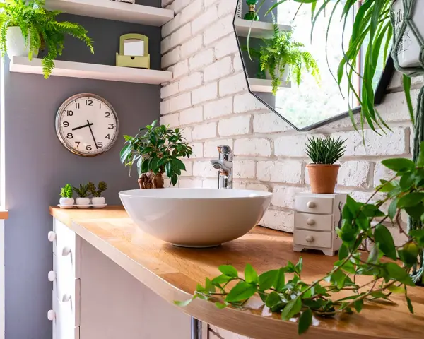 Comment décorer une salle de bain : un lavabo rond sur un meuble en bois, entouré de plantes vertes luxuriantes et d'un miroir mural.