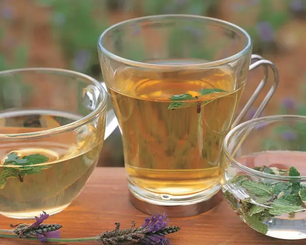 Tres tazas de cristal con infusiones de hierbas, algunas con hojas de menta flotando. Perfectas infusiones antiinflamatorias para un momento de relax.