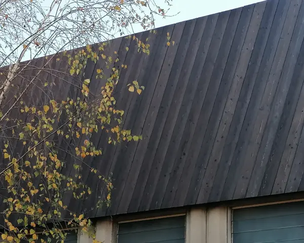 Un muro inclinato di legno bruciato giapponese, con rami spogli e foglie gialle che si stagliano contro il cielo.